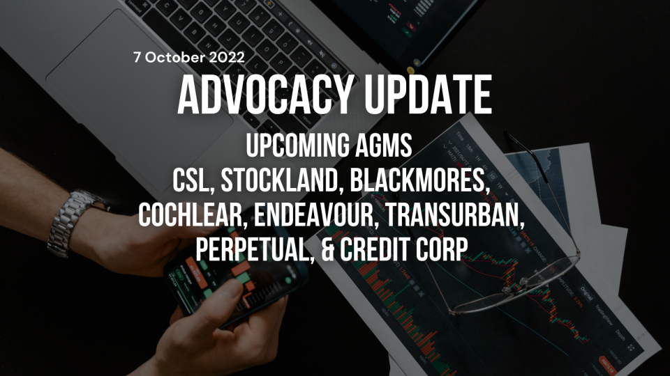 Website - Insightspg125