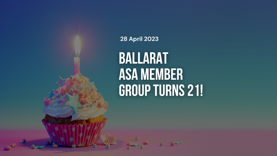 Website - Insightspg94