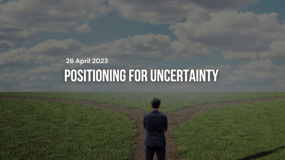 Website - Insightspg95