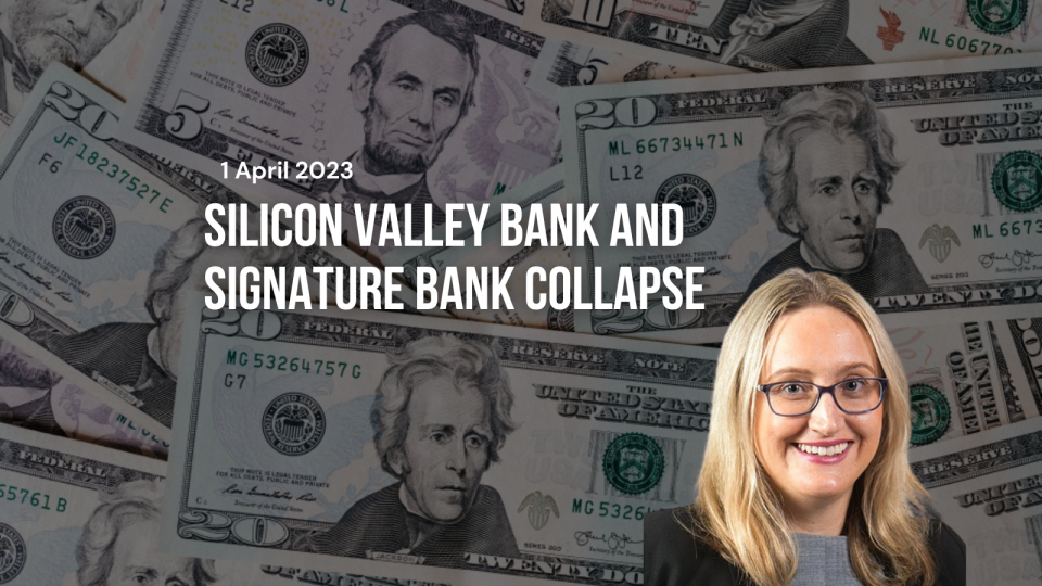 Website - Insightspg99