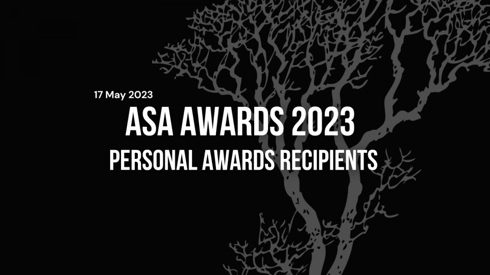 Website - Insightspg99