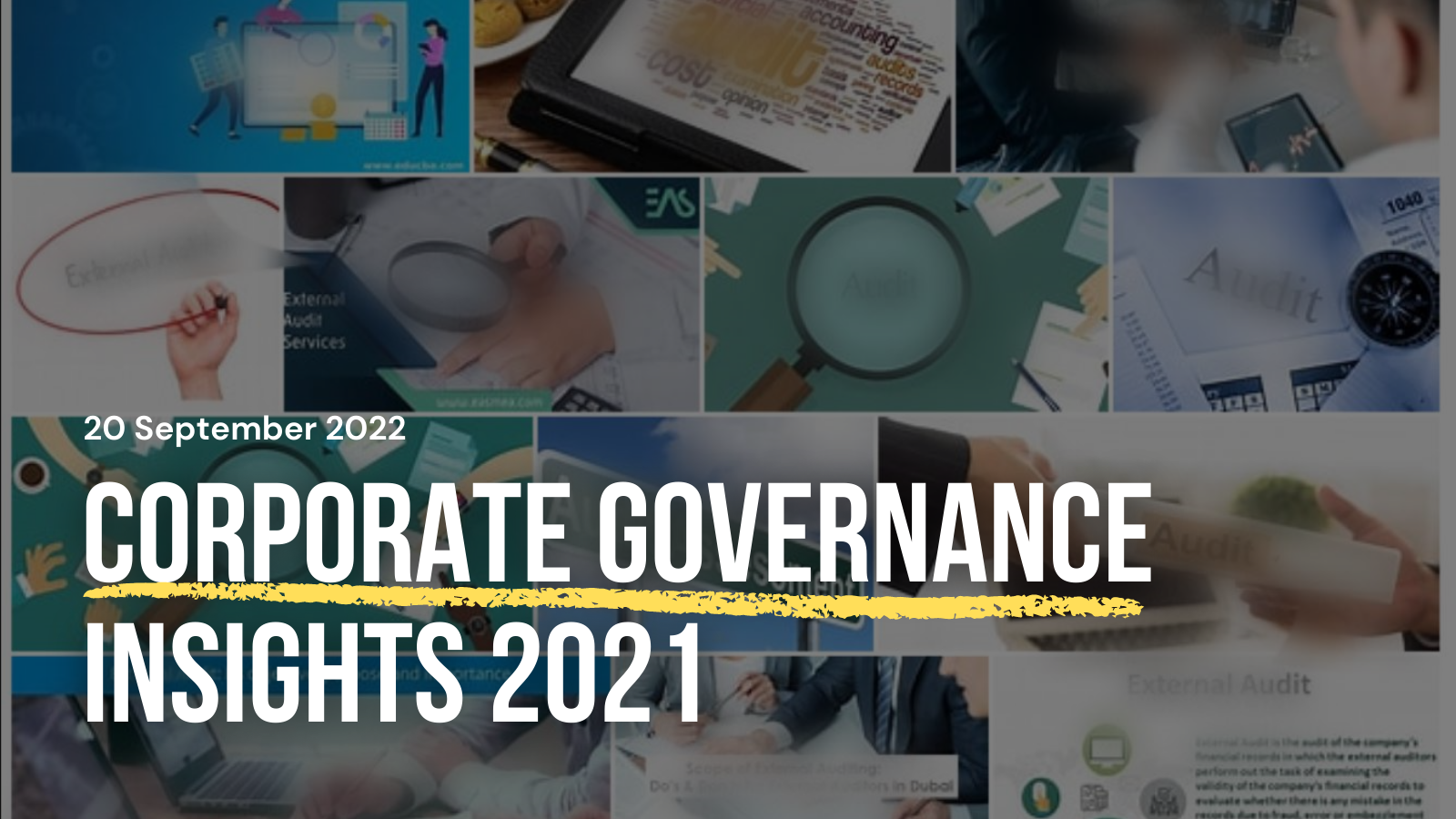 52. corporate governance insights 2021