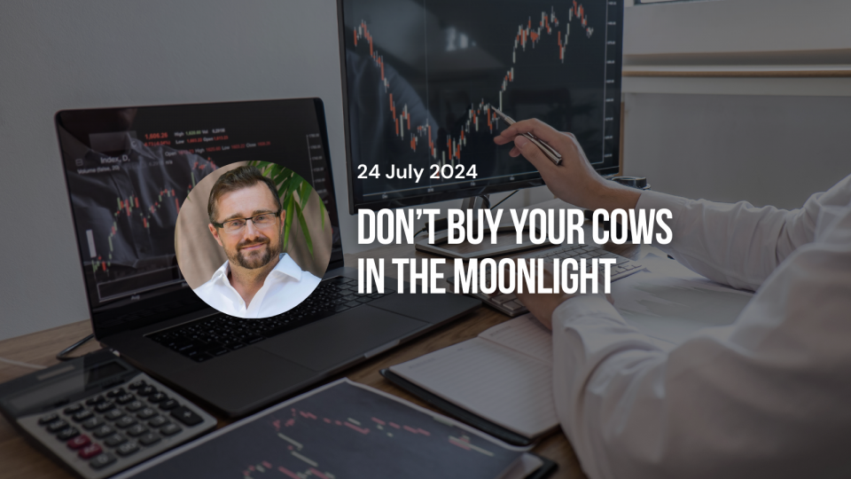 Website - Insights (36)