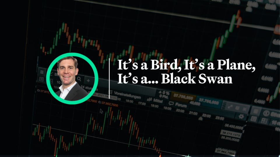 ASA Insights - black swan 001